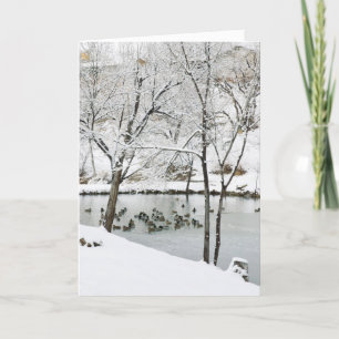 winter pond holiday card
