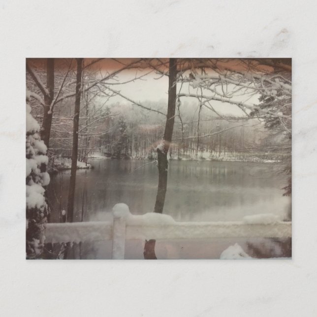 Winter Pond Postcard (Front)