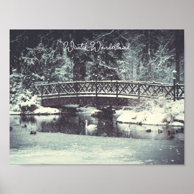 Winter pond poster (Front)