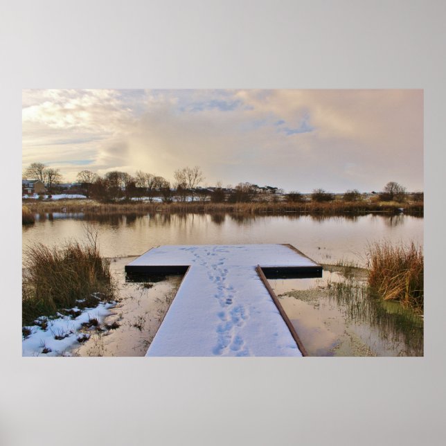 Winter Pond Poster (Front)