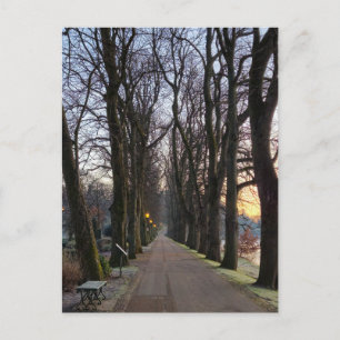 Winter  postcard