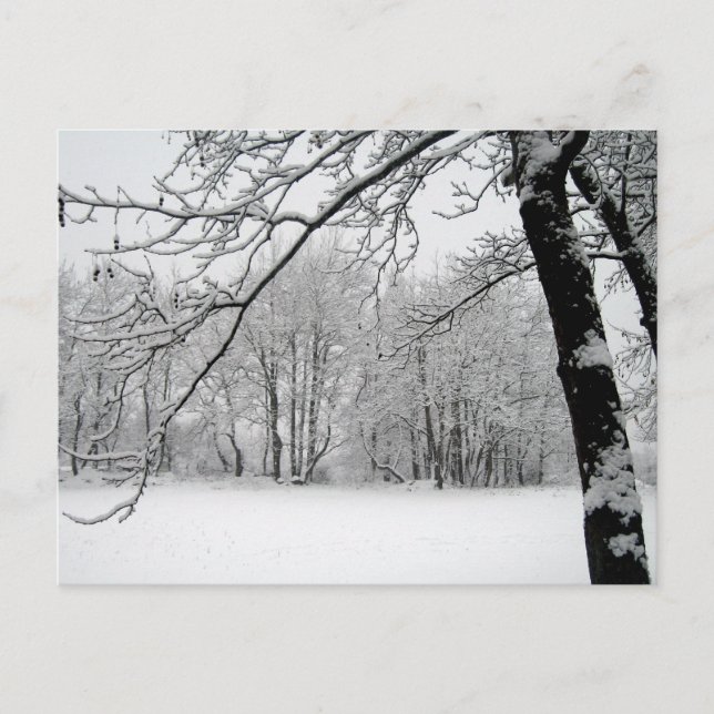 winter postcard (Front)