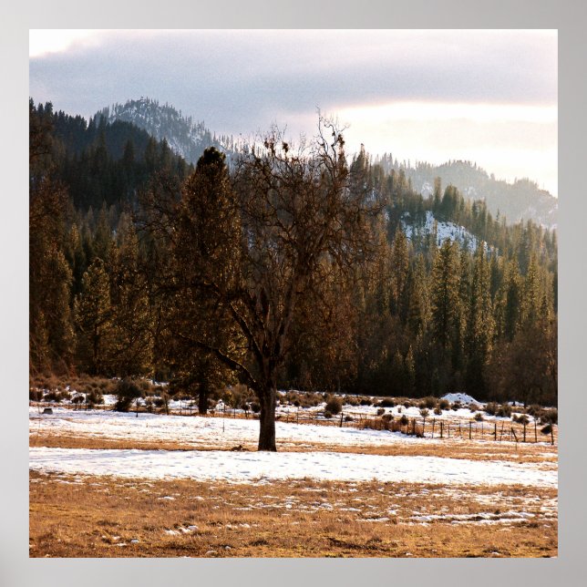 Winter....... Poster (Front)