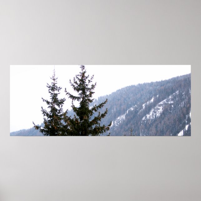 Winter Poster (Front)