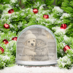 Winter Puppy and Kitten in Cozy Hats with Gift Snowglobe