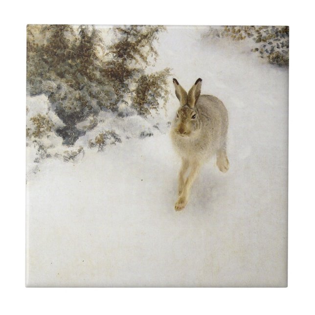 winter rabbit tile (Front)