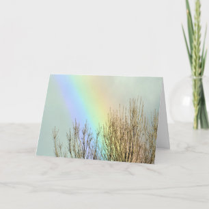 winter Rainbow Card