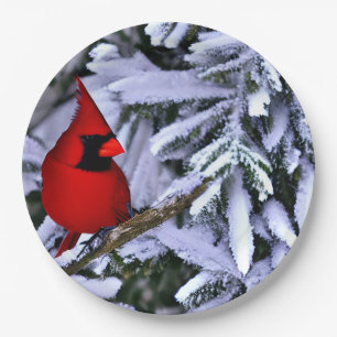 Winter Red Cardinal Paper Plate