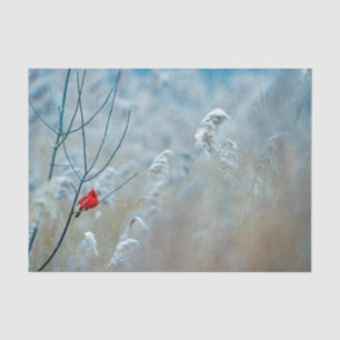 Winter Red Cardinal Snow Photo Tissue Paper