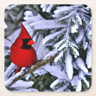 Winter Red Cardinal Square Paper Coaster