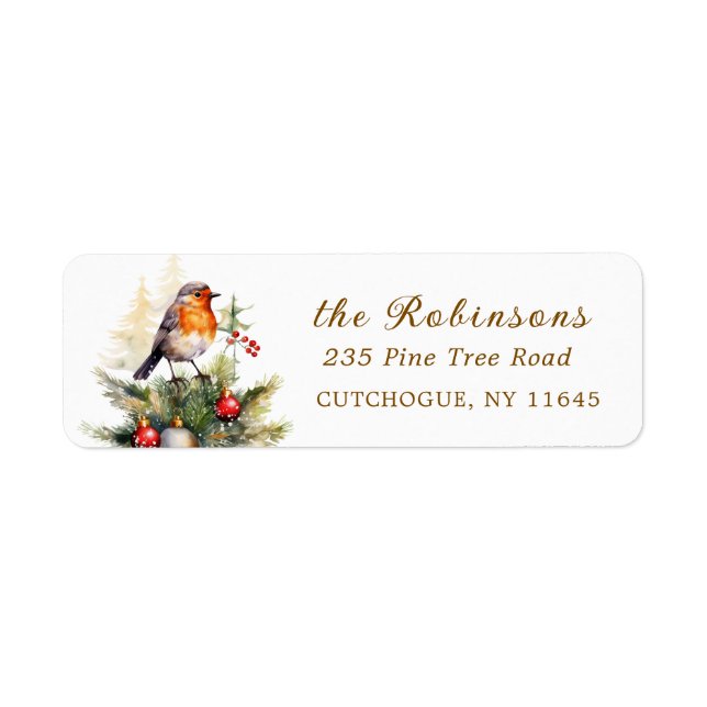 Winter Red Robin Christmas  (Front)