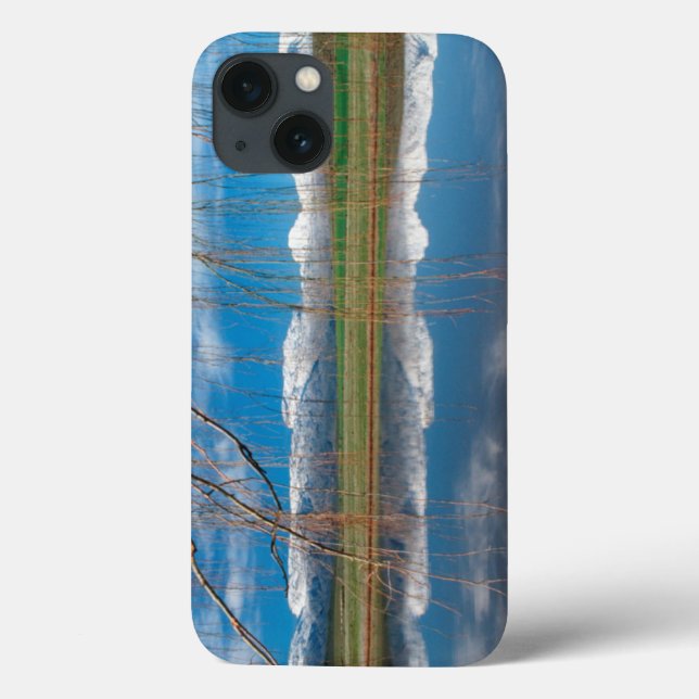 Winter Reflections. Ceres, Boland District Case-Mate iPhone Case (Back)