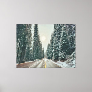 Winter Road Through Forest Canvas Print