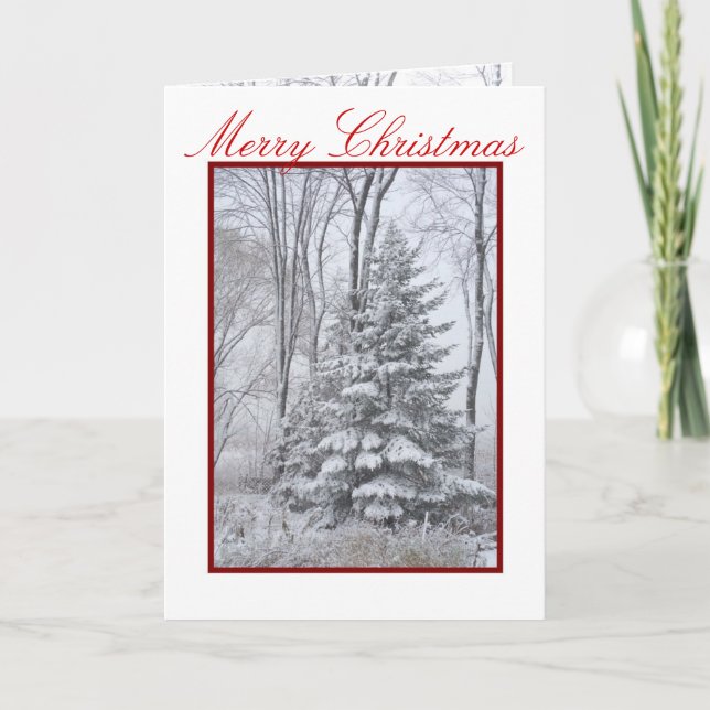 WINTER ROBES ~ Natural Holiday Card (Front)