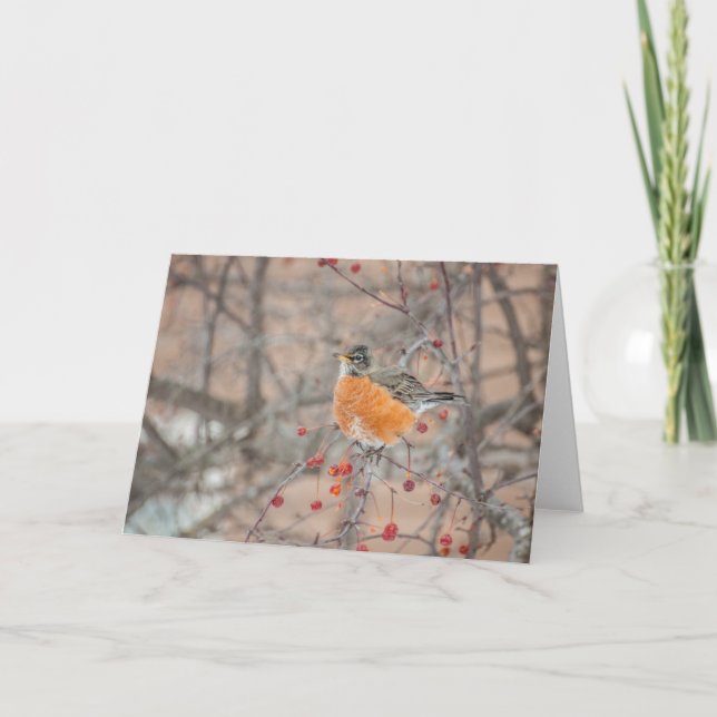 Winter Robin 1 Card (Front)