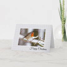 Winter Robin Bonne carte de Noël