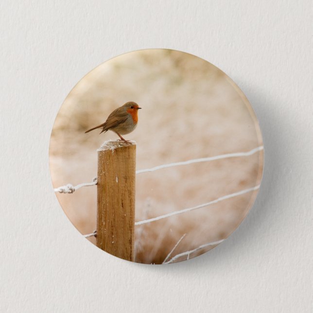 Winter Robin Redbreast 2 Inch Round Button (Front)