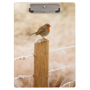Winter Robin Redbreast Clipboard