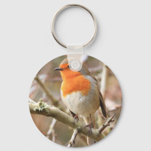 Winter Robin Redbreast Keychain