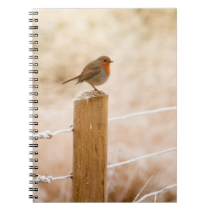 Winter Robin Redbreast Notebook