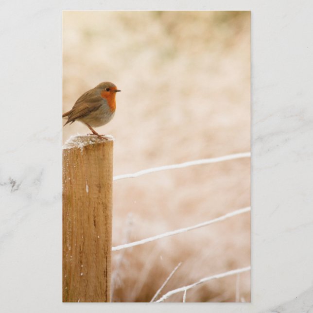 Winter Robin Redbreast Stationery (Front)