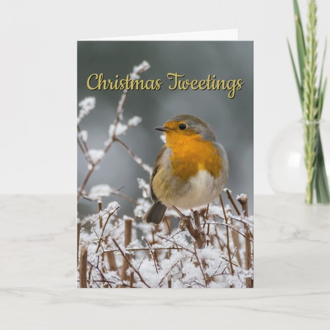 Winter Robin White Christmas Holiday Card (Front)