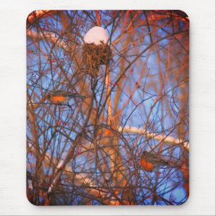 Winter Robins Wildlife Nature  Mouse Pad