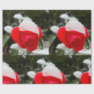Winter Rose Wrapping Paper 