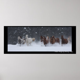 Winter Round Up Poster
