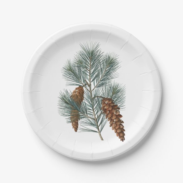 Winter Rustic Woodland Pine Cones and Branch Paper Plate (Front)
