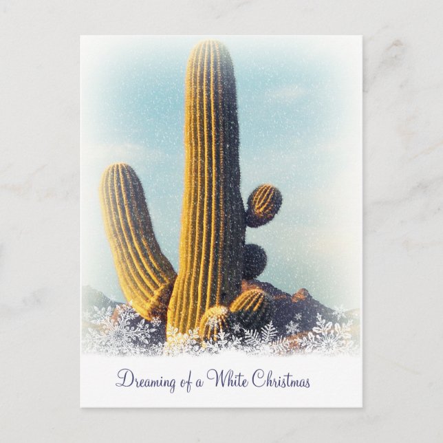 Winter Saguaro Holiday Postcard (Front)