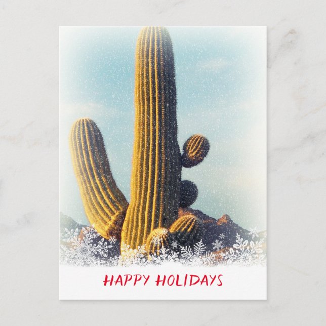 Winter Saguaro Scene Holiday Postcard (Front)