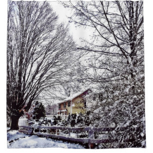 Winter Scene