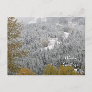 Winter Scene at Whistler, B.C. Postcard