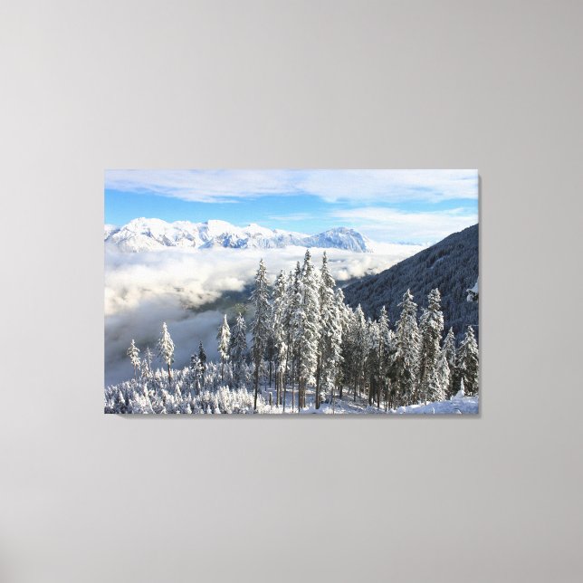 Winter Scene Canvas Print (Front)