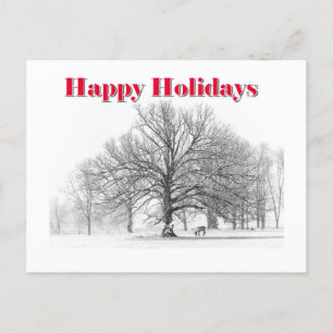 Winter Scene Holiday Card White Bow (Postcard)