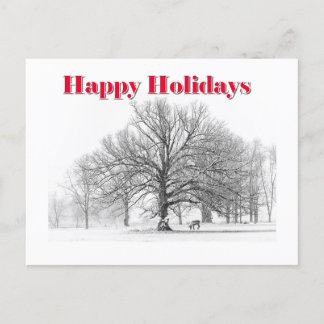 Winter Scene Holiday Card White Bow (Postcard)
