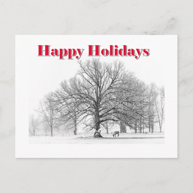 Winter Scene Holiday Card White Bow (Postcard) (Front)