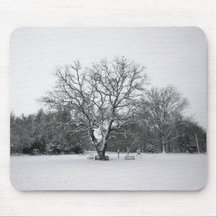 Winter Scene Mouse Pad
