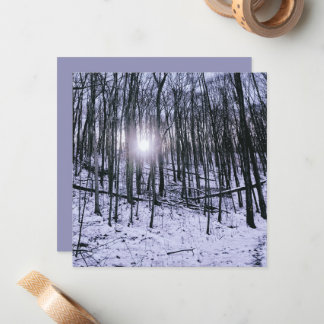 Winter Scene Sunrise and Snow Card