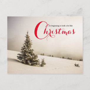 Winter Scene with Tree - Post Card