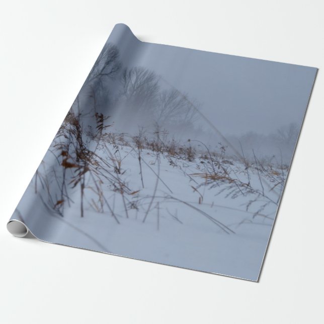 Winter Scene Wrapping Paper (Unrolled)