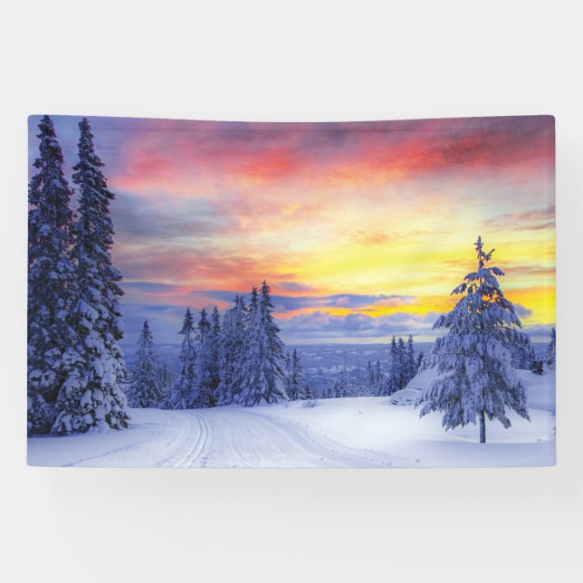 Winter scenery  banner (Horizontal)