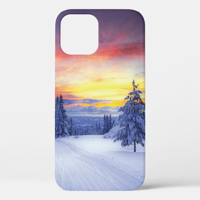 Winter scenery  Case-Mate iPhone case (Back)