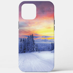Winter scenery   iPhone 12 pro max case