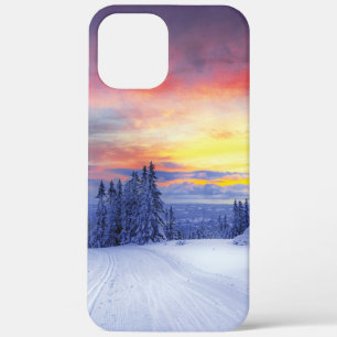 Winter scenery   iPhone 12 pro max case