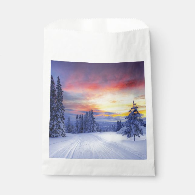 Winter scenery favour bag (Front)
