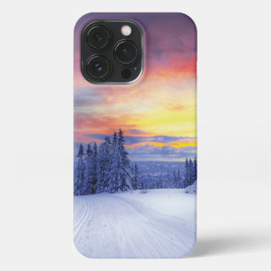 Winter scenery iPhone 13 pro case