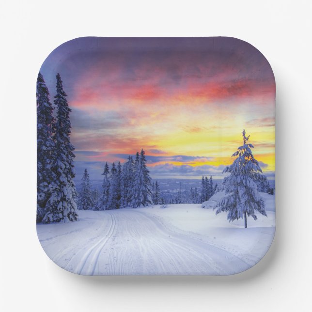 Winter scenery  paper plate (Front)