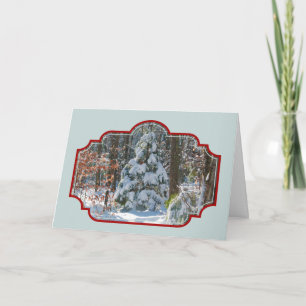 Winter Scenery Snow-Covered Evergreen Christmas Holiday Card